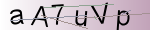 Captcha anti-spam